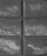 DS Choco 3D (anthracite) - architectural concrete