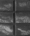 DS Choco (grafit - srebrne kruszywo) - beton architektoniczny panel 3D