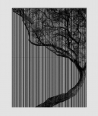 GF - (drzewo) - 6 piankowych paneli akustycznych