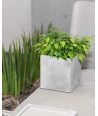 Concrete flower pot (gray)