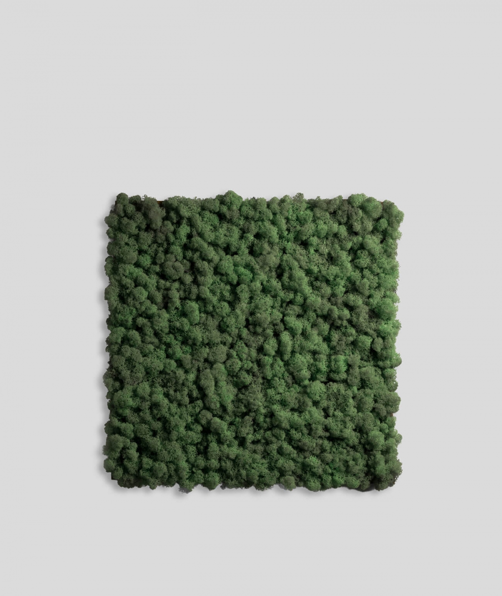Icelandic reindeer moss (009 dark forest green) - Flexy