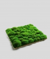 Mech leśny poduszkowy (energetyczna zieleń P03)