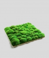 Mech leśny poduszkowy (trawiasta zieleń P02)
