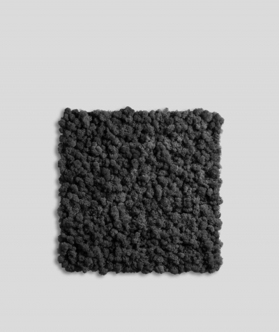 copy of Icelandic reindeer moss (011 black) - basic