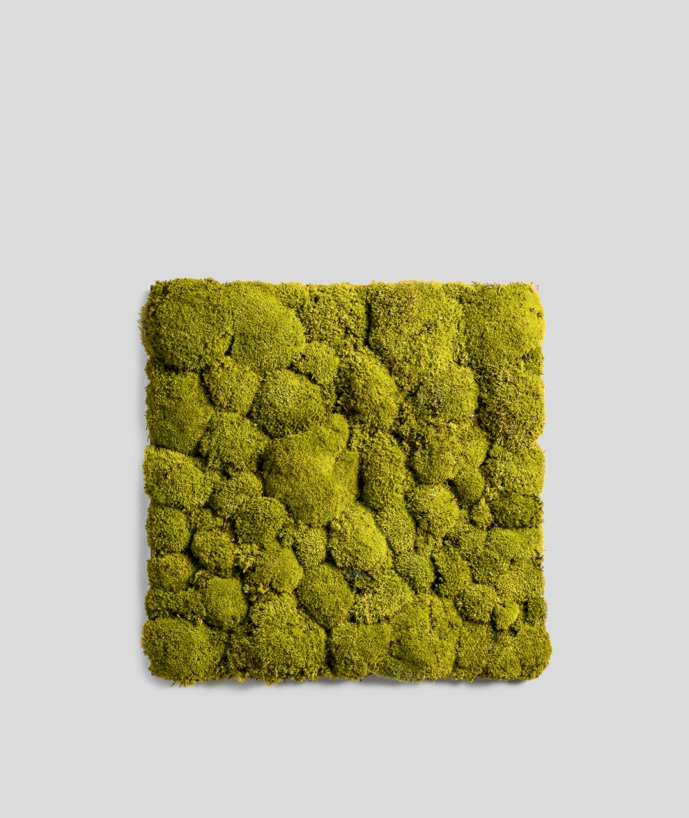 copy of Pillow forest moss (energetic green P03)