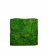 Flat forest moss (forest green L01)