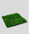 Flat forest moss (forest green L01)