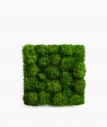 Provencal forest moss (natural P00)