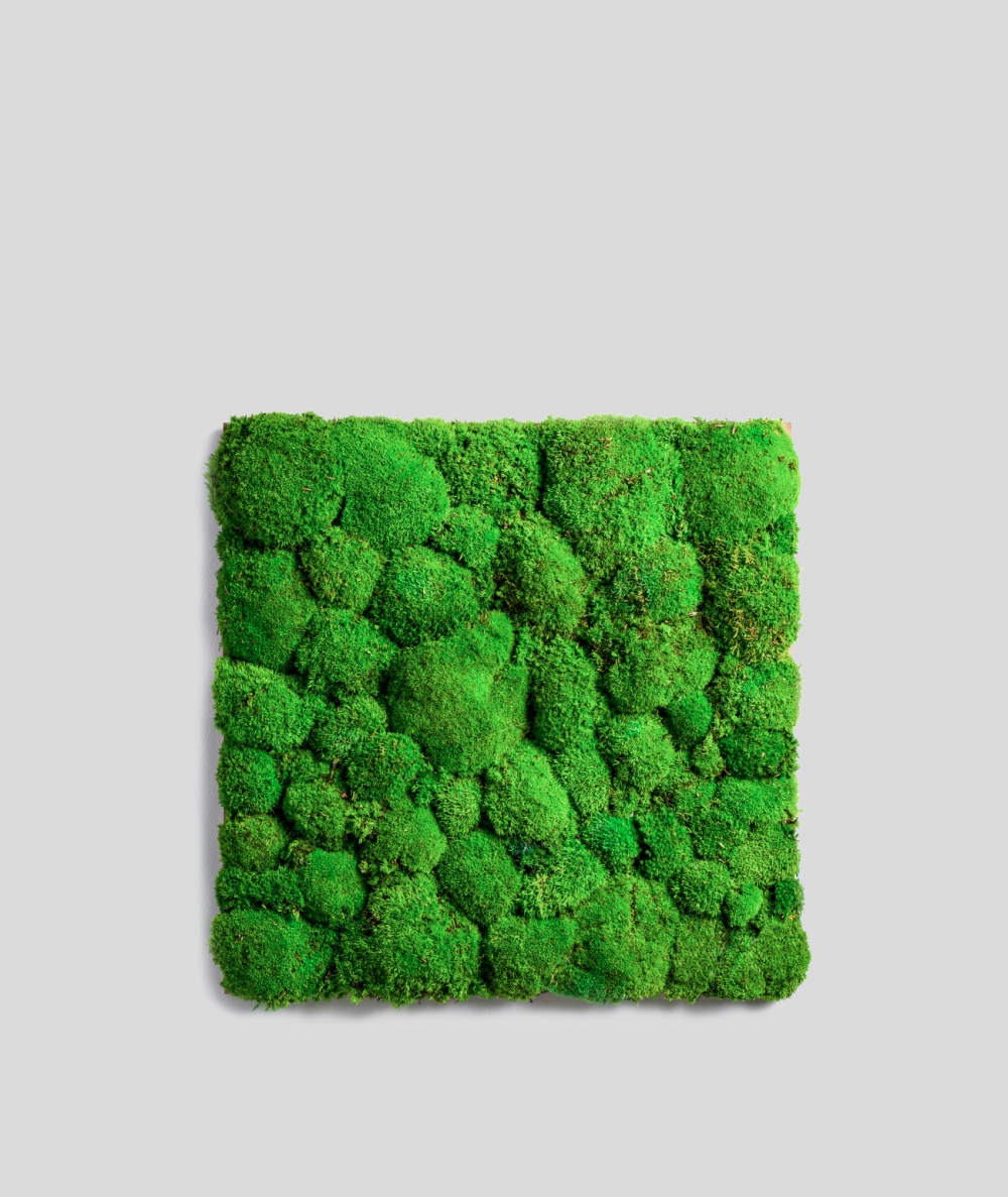 Pillow forest moss (grass green P02)