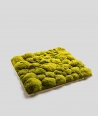 Pillow forest moss (energetic green P03)