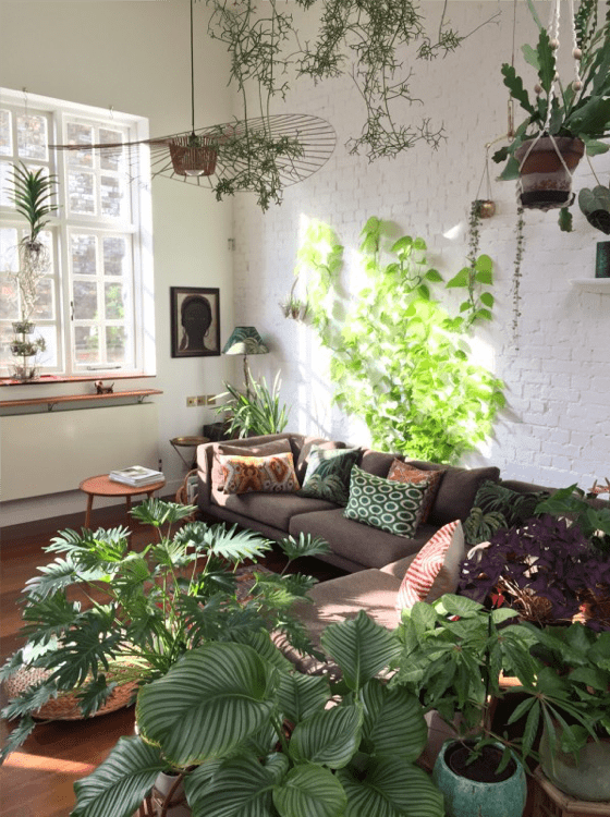 10 Tips On How To Decorate Your With Plants In Your Home